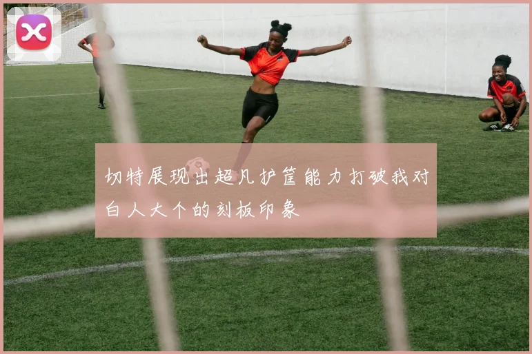 切特展现出超凡护筐能力打破我对白人大个的刻板印象
