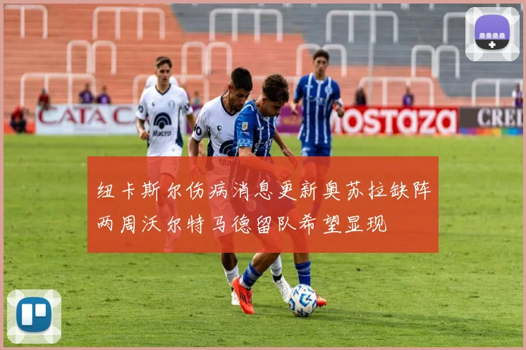 纽卡斯尔伤病消息更新奥苏拉缺阵两周沃尔特马德留队希望显现